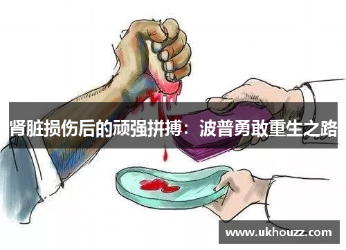 肾脏损伤后的顽强拼搏:波普勇敢重生之路 肾脏损伤后的顽强拼搏:波普勇敢重生之路